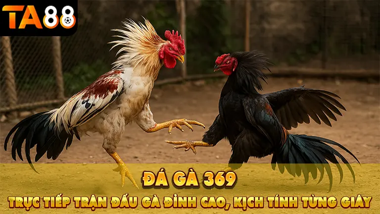 da ga 369