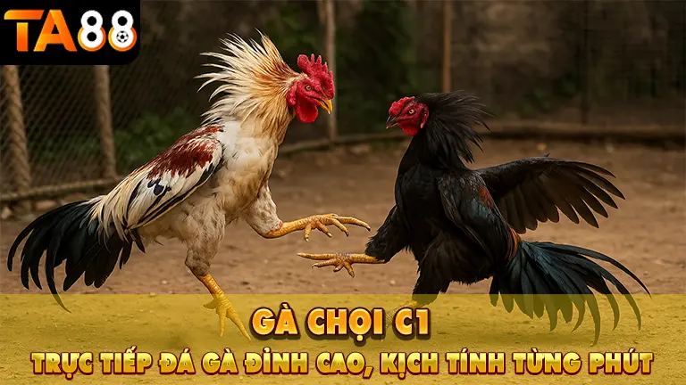 ga choi c1